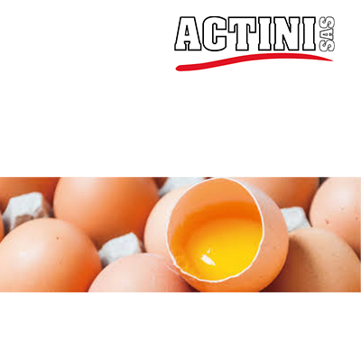 case egg1